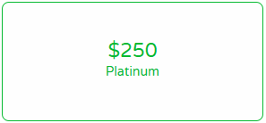 05. General Donation - $250 One Time