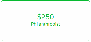 07. General Donation - $250 Recurring Monthly