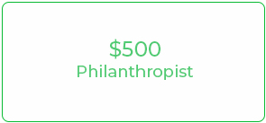 08. General Donation - $500 Recurring Monthly